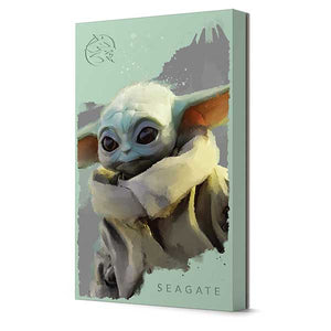 Seagate STKL2000404 Externe Festplatte 2 TB USB Typ-A 3.2 Gen 1 (3.1 Gen 1) Mehrfarbig