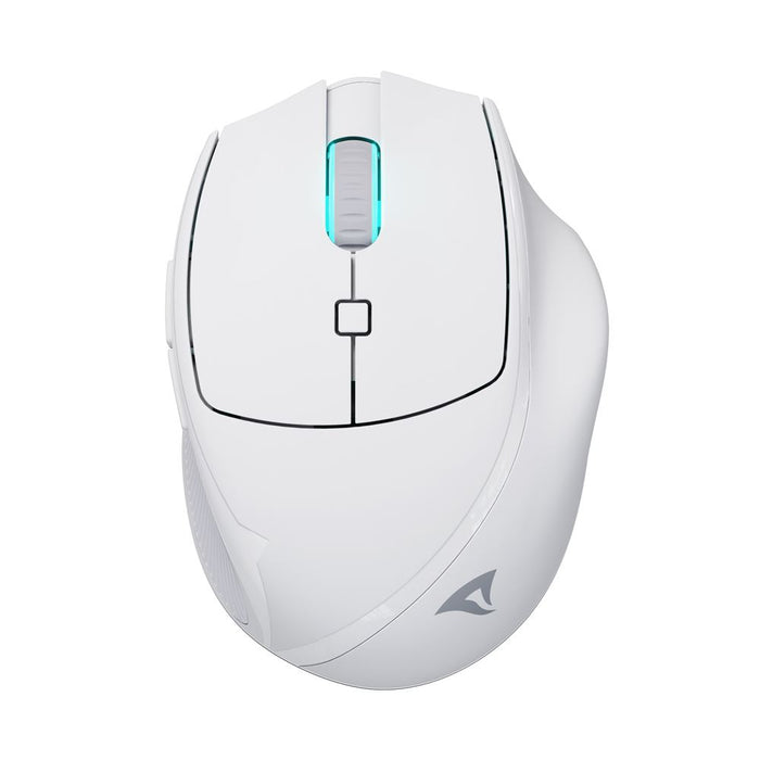Sharkoon OfficePal M25W Maus Gaming Rechts RF Wireless + USB Type-C Optisch 4000 DPI (4044951039654)