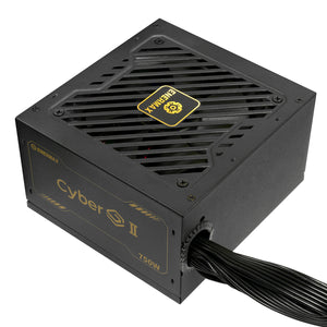 Enermax ERV750G-AHG-NAC Netzteil 750 W 20+4 pin ATX ATX Schwarz